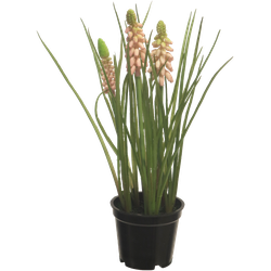 Muscari x3 with black pot pink 23 cm kunstbloem - Nova Nature