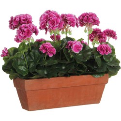 Mica Decorations Geranium Balkonbak - 39x13x40 cm - Terra - Paars