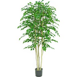 Kunstplant Ruwe Berk 210 cm | NeverLeafs