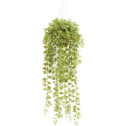 Hangplant met pot 6