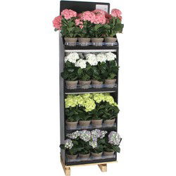 Mica Decorations Kunstplant Hydrangea - 60x40x145 cm - Polyester - Wit