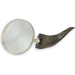 A MAGNIFYING-GLASS