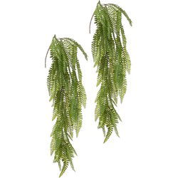 Louis Maes kunstplanten - 2x - Varen - groen - hangende takken bos van 70 cm - hangplant - Kunstplanten