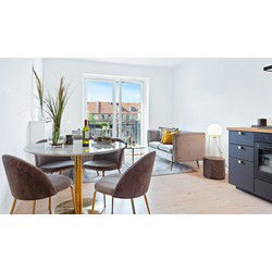 Eetkamerstoel Velvet Grijs Brass - Zithoogte 46cm - Set van 2