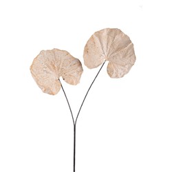 PTMD Kunsttak Monstera - 62x57x90 cm - Polyester - Creme