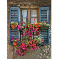 Blue Shutters 50x70cm Tuinschilderij