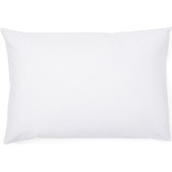 Feather Inner Pillow 65x45