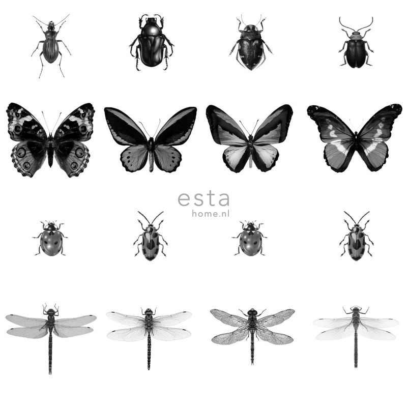 ESTAhome behang XXL pentekening insecten zwart wit - 