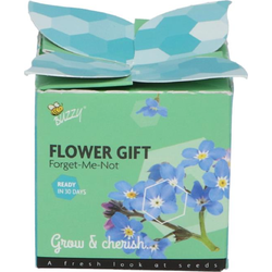 Grow gifts kweekset flower gift vergeet-me-niet - Buzzy