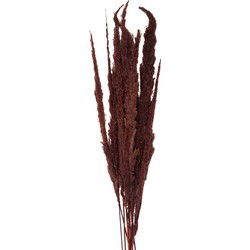 Clayre & Eef Droogbloemen Bruin Droogbloemen