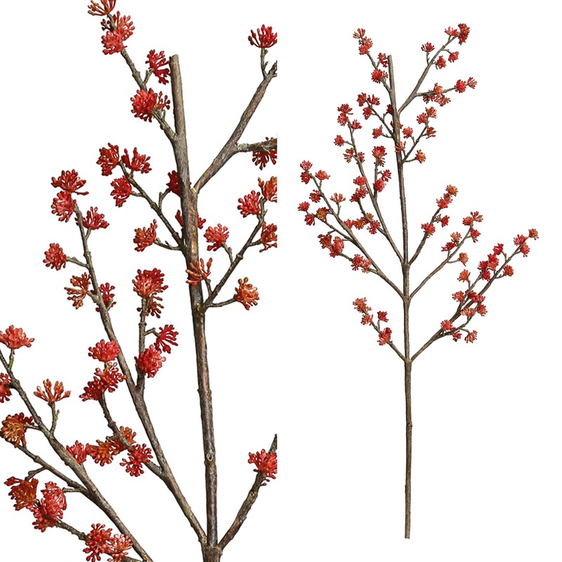 Berry Plant - 54.0 x 30.0 x 107.0 cm - 