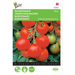 2 stuks - Tomaten Maja Balkontomaat
