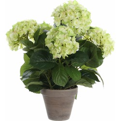 Mica Decorations Kunstplant Hortensia - lichtgroen - 45 cm - in pot - Kunstplanten