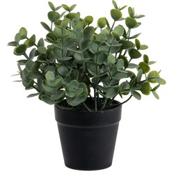 Eucalyptus Kunstplant - in pot - groen - H20 cm - Kunstplanten