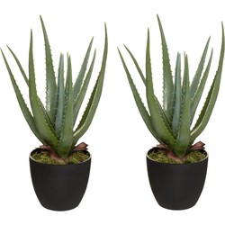 Set van 2x stuks atmosphera Aloe kunstplanten in pot van cement 42 cm - Kunstplanten