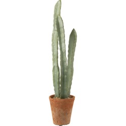 J-line - Cactus 3 Stuks In Pot Plastiek Groen Large - 17x17x80cm