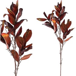 PTMD Magnolia Kunsttak - 26 x 59 x 120 cm - Rood