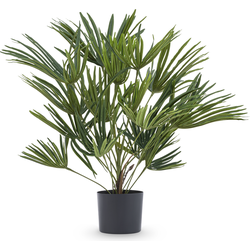 Hoyz Greenery - Kunstplant Baby Palm Fan in pot 50 cm