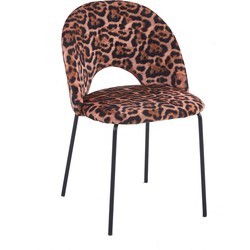 Pole to Pole - Cave chair leopard