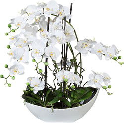 Kopu® Kunstbloem Volle Orchidee 68 cm Wit met Schaal - Phalenopsis