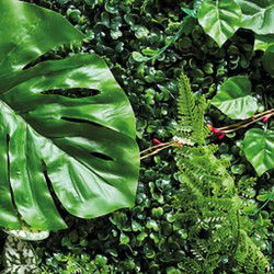 Repto Aquadistri plant achterwand mat 40-60 cm 2