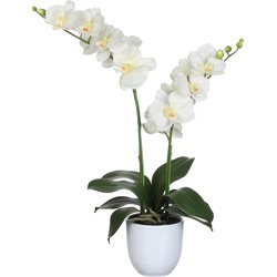 Mica Decorations Orchidee bloem kunstplant - parel wit - H66 x B38 cm  - Kunstplanten