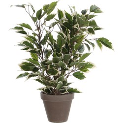 Mica Decorations Ficus Natasja Kunstplant in Bloempot Stan - H40 x Ø30 cm - Groen Bont