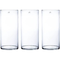 3x Glazen vaas transparant 19 x 40 cm - Vazen