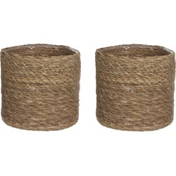 2x stuks naturel bruin rotan planten pot mand van gedraaid jute/riet H16 en D16 cm - Plantenpotten