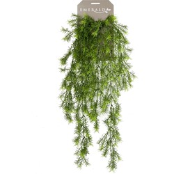 Kunstplant asparagus hanging bush 75cm