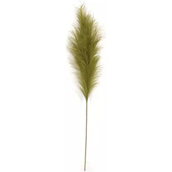 Pampas Gras 60 cm Mos groen kunstplant - Buitengewoon de Boet