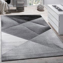 Laagpolig Vloerkleed - Eceria - Geo Modern - Grijs - 120x170 cm