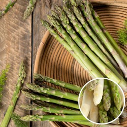 Asparagus Gijnlim - Set van 4 - Groene Asperge - Wortelstokken