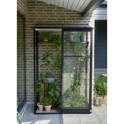 Muurkas Qube Lean-to 24 Halls Greenhouses Royal Well