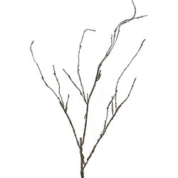 Holzzweig Cordata 95 cm künstlicher Zweig - Nova Nature