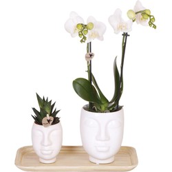 Kolibri Company - Planten set Inner Retreat | Set met witte Phalaenopsis Orchidee Amabilis  Ø9cm en groene plant Rhipsalis Ø6cm en Bamboo plate oval | incl. witte keramieken sierpotten