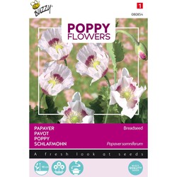 3 stuks - Poppies of the world papaver blauwmaanzaad - Buzzy