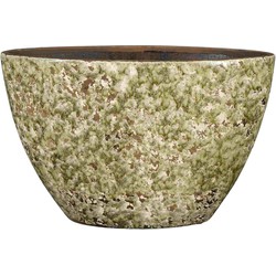 Mica Decorations Bloempot Antica - 41x41x26 cm - Terracotta - Groen