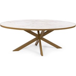 Stalux Ovale eettafel 'Mees' 210 x 100cm, kleur goud / wit marmer