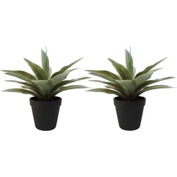 Set van 2x stuks grijze/groene kunstplanten agave succulent plant in pot - Kunstplanten