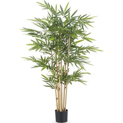 Kunstplant bamboe 150 cm Royal | Echt bamboe | NeverLeafs