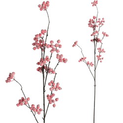 Berry Plant - 50.0 x 18.0 x 99.0 cm
