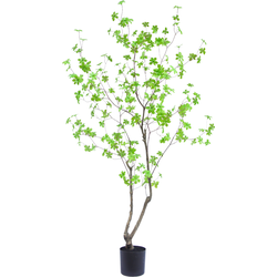 Hoyz Greenery - Kunstplant Enkianthus 180 cm