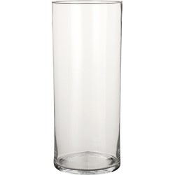 1x Ronde glazen cilinder vaas/vazen transparant 48 cm lang - Vazen