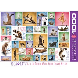 Eurographics Eurographics puzzel Yoga Cats - 1000 stukjes