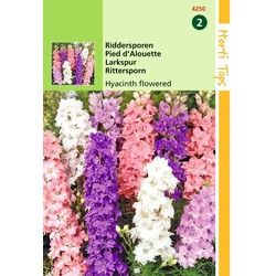 2 stuks - Delphinium Ajacis Hyacinthbloemig Gemengd
