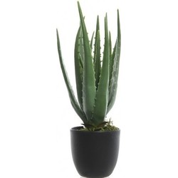 Groene aloe vera kunstplanten 35 cm met zwarte pot - Kunstplanten