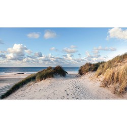 Duinen zee 130x70cm Tuinschilderij