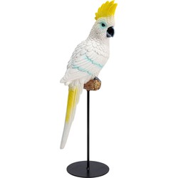 Kare Decofiguur Parrot Cockatoo White