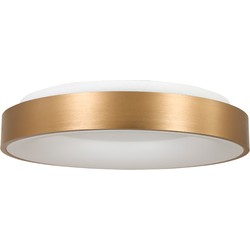 Steinhauer plafonniere Ringlede - goud -  - 3086GO